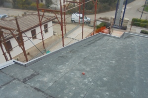 DSC02991